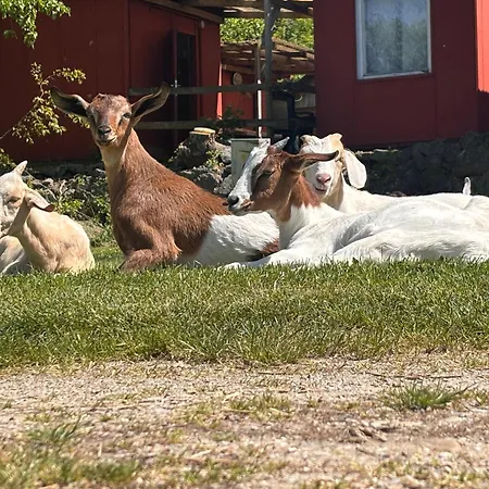 Kemping Atc Apollo Lednice