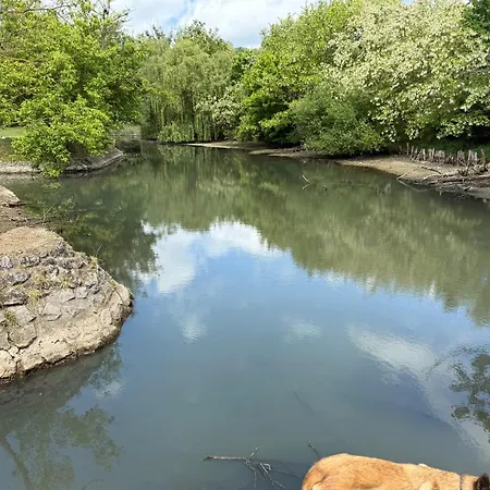 Atc Apollo Lednice Brzecław